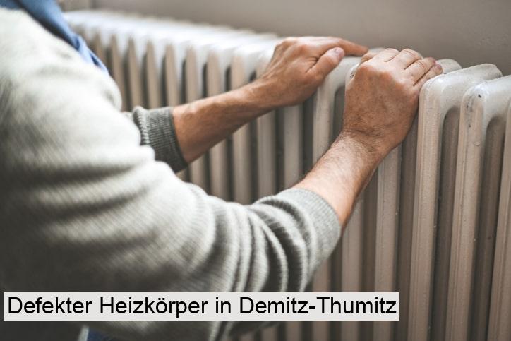 Defekter Heizkörper in Demitz-Thumitz